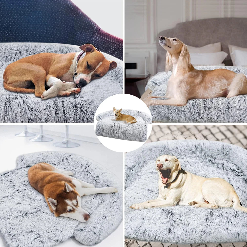 Removable Plush Pet Dog Bed Sofa