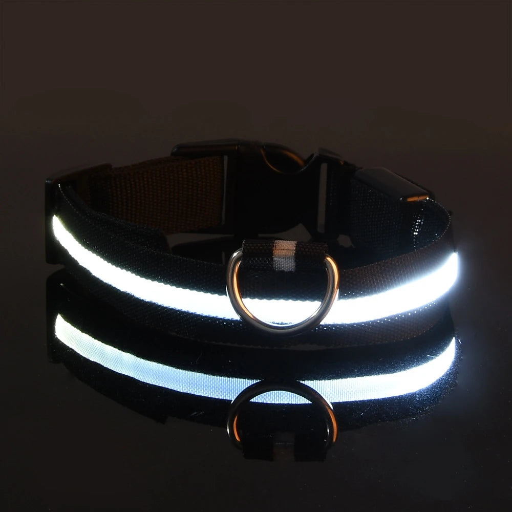 LED Safety Collar for Dogs