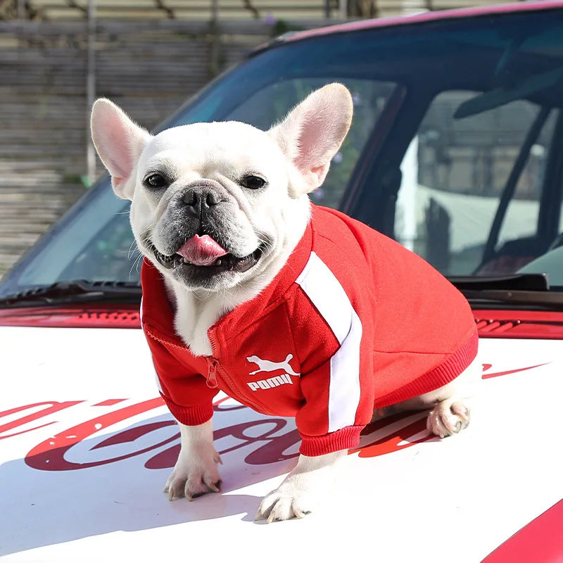 Baseball Dog Jacket