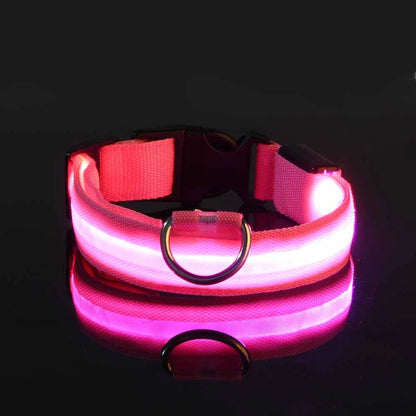 LED Safety Collar for Dogs