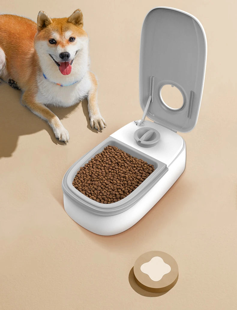 Automatic Pet Feeder 350ML