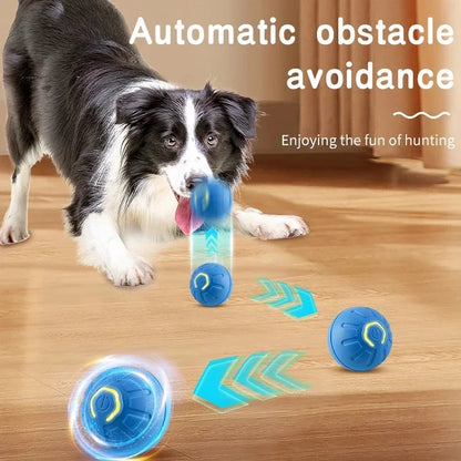 Interactive Smart Dog Toy Ball