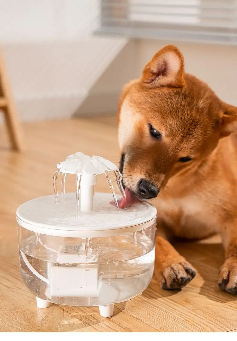 USB Electric Pet Water Fountain