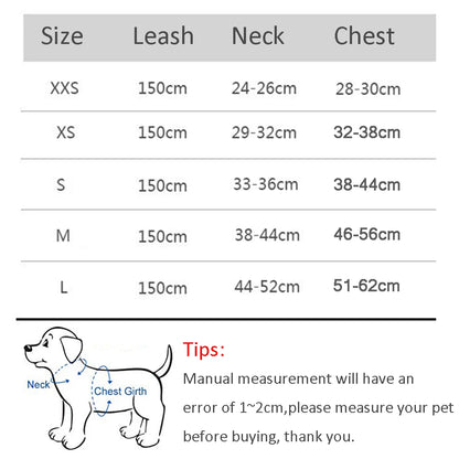 Adjustable Dog Harness Leash Set