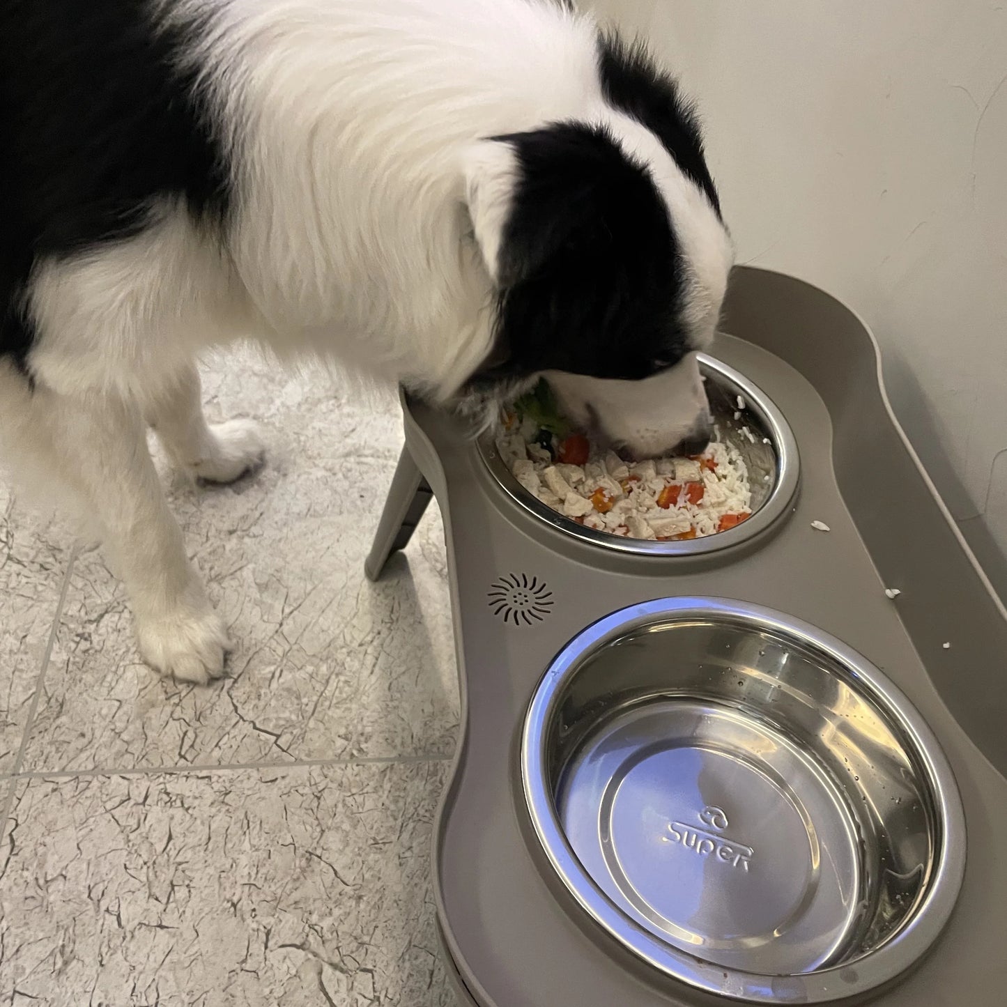 Elevated Dog Bowls for All Sizes