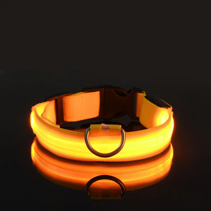 LED Safety Collar for Dogs