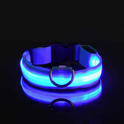 LED Safety Collar for Dogs