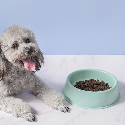 Durable Pet Dog Food & Cat Water Bowl