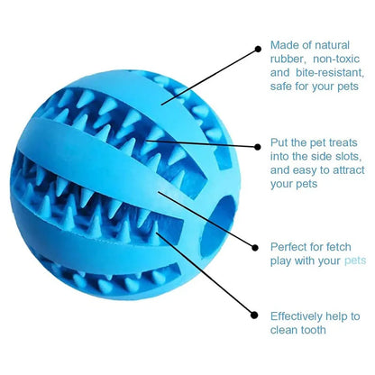 Interactive Rubber Dog Toy Ball