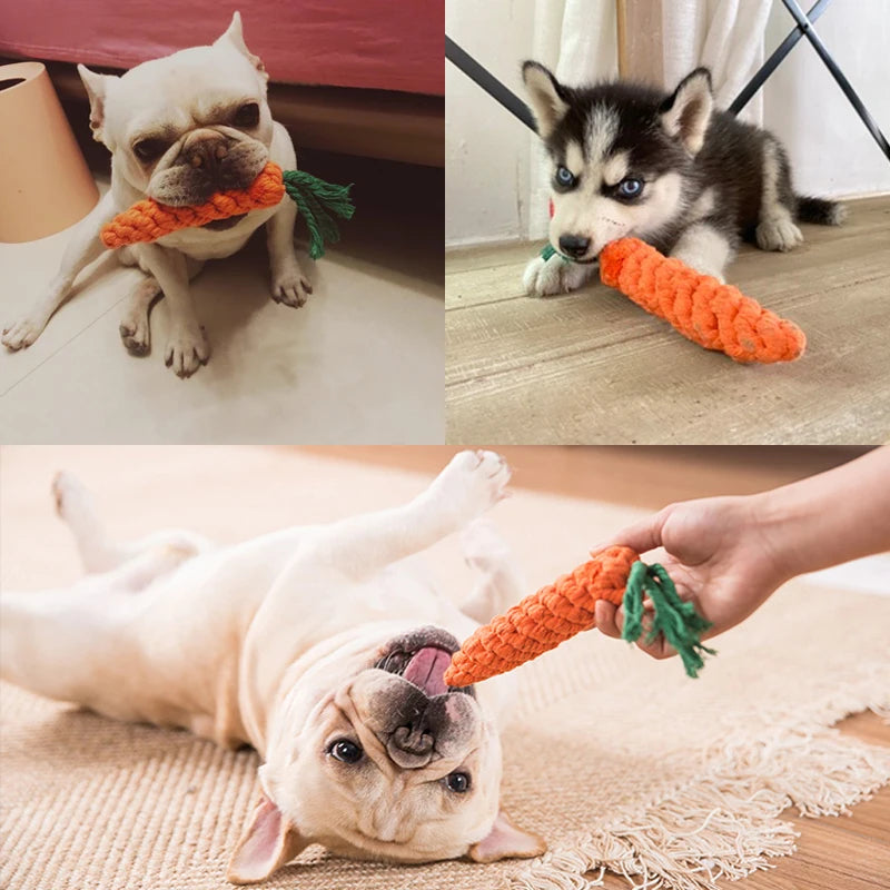 Durable Cartoon Animal Dog Chew Toy