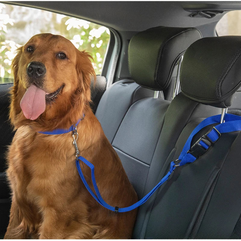 Adjustable Two-in-One Pet Car Seat