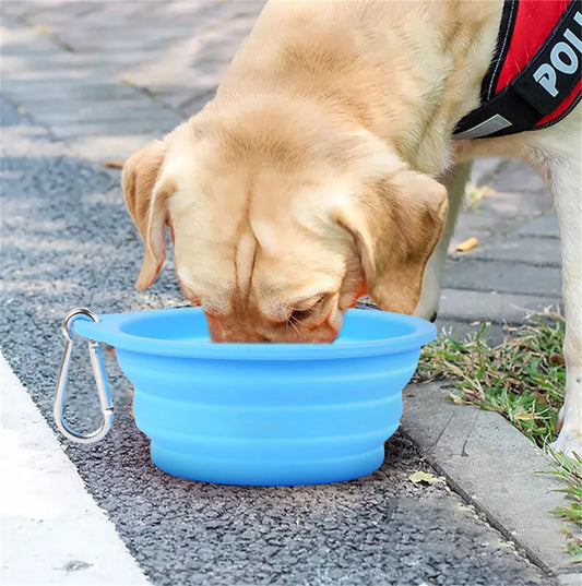 Collapsible Silicone Pet