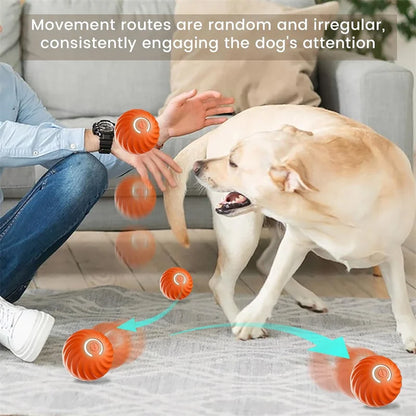 Interactive Smart Dog Toy Ball