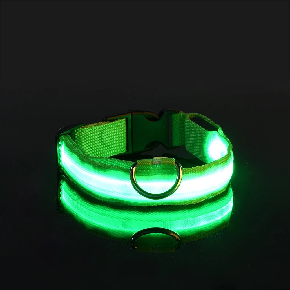 LED Safety Collar for Dogs