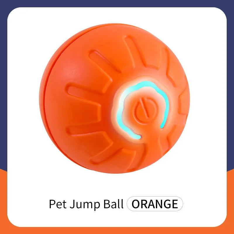 Interactive Smart Dog Toy Ball