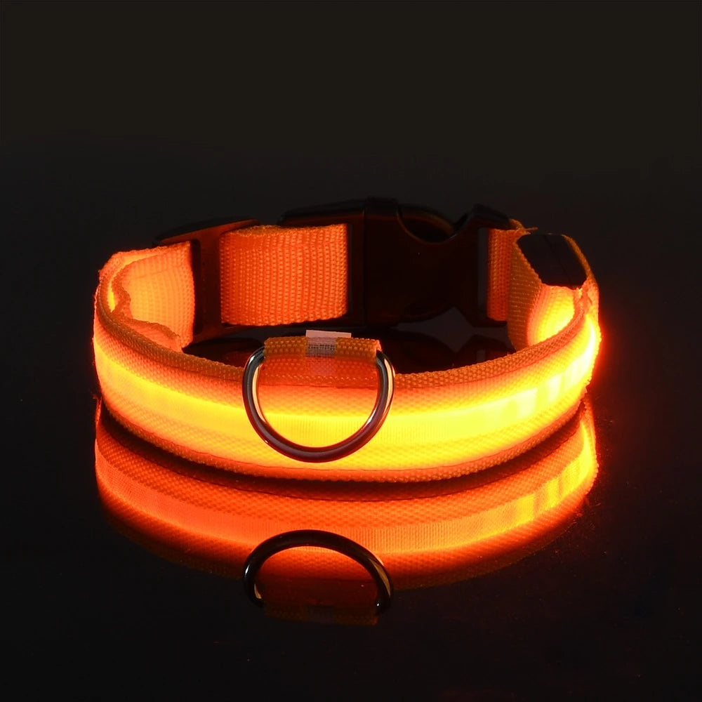 LED Safety Collar for Dogs