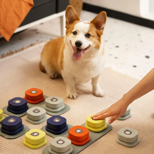 Talking Pet Communication Button Toy