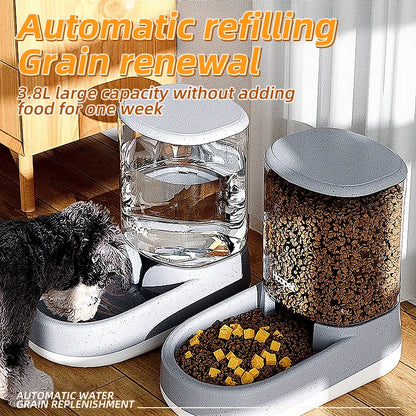 Large Capacity Automatic Pet Feeder Drinking Bowl