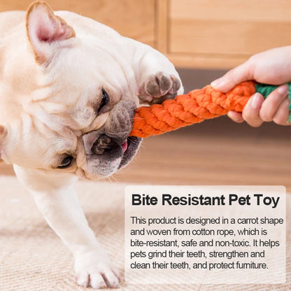 Durable Cartoon Animal Dog Chew Toy