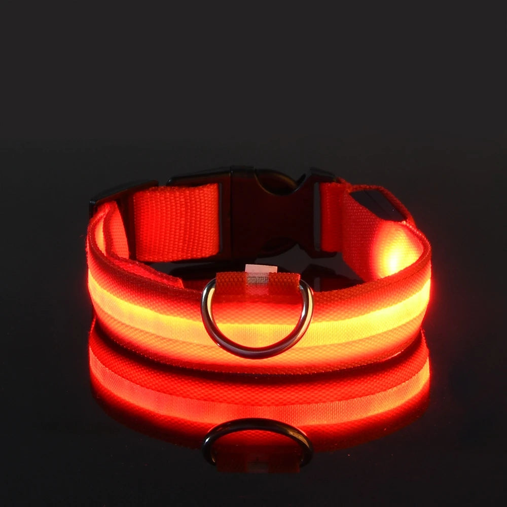 LED Safety Collar for Dogs