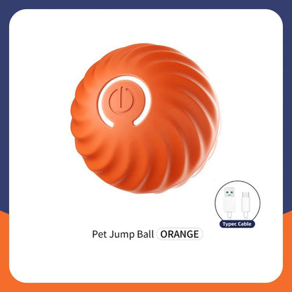 Interactive Smart Dog Toy Ball