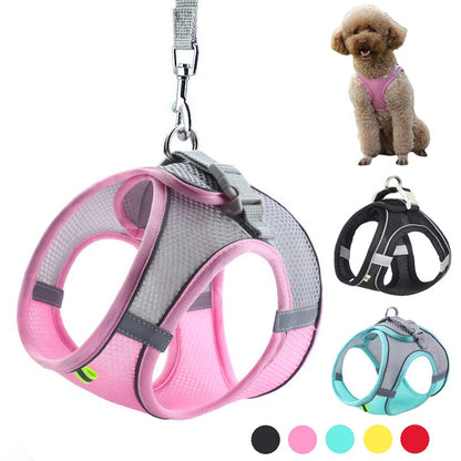 Adjustable Dog Harness Leash Set