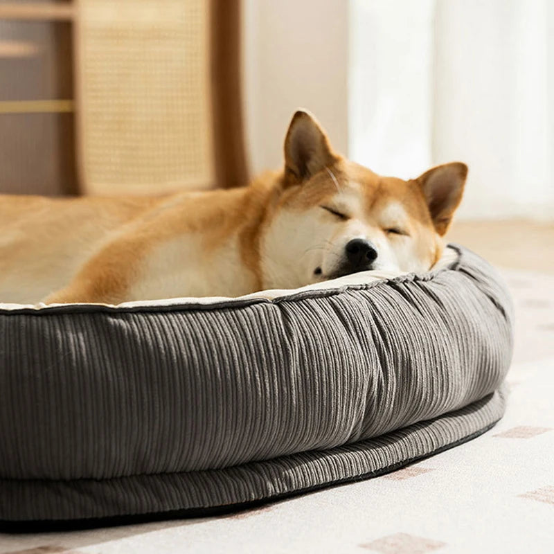 Memory Foam Dog Bed