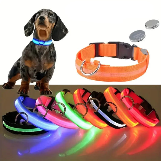 LED Safety Collar for Dogs