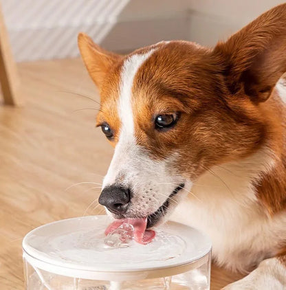 USB Electric Pet Water Fountain